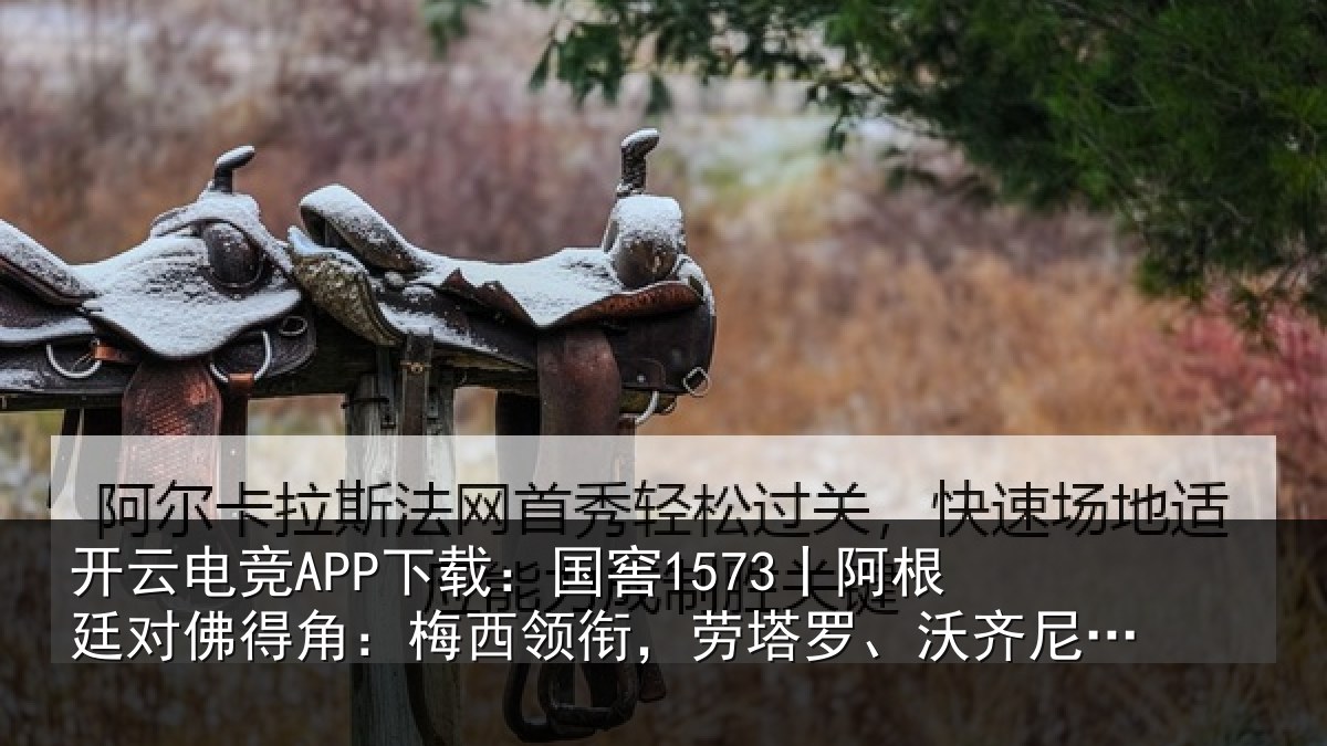 开云电竞APP下载:国窖1573丨阿根廷对佛得角:梅西领相关情况首发