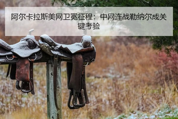 a-er-ka-la-si-mei-wang-wei-mian-zheng-cheng-zhong-wang-lian-zhan-lei-na-er-cheng-guan-jian-kao-yan-2-504.jpg