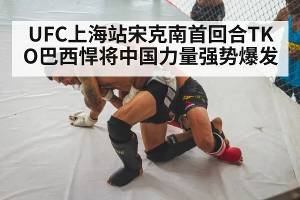UFC上海站宋克南首回合TKO巴西悍将中国力量强势爆发